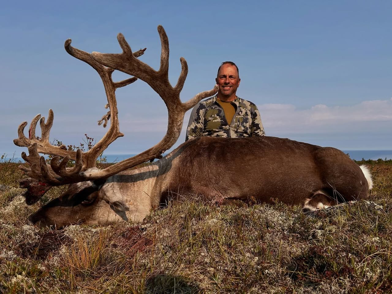 Bill Tittle Caribou